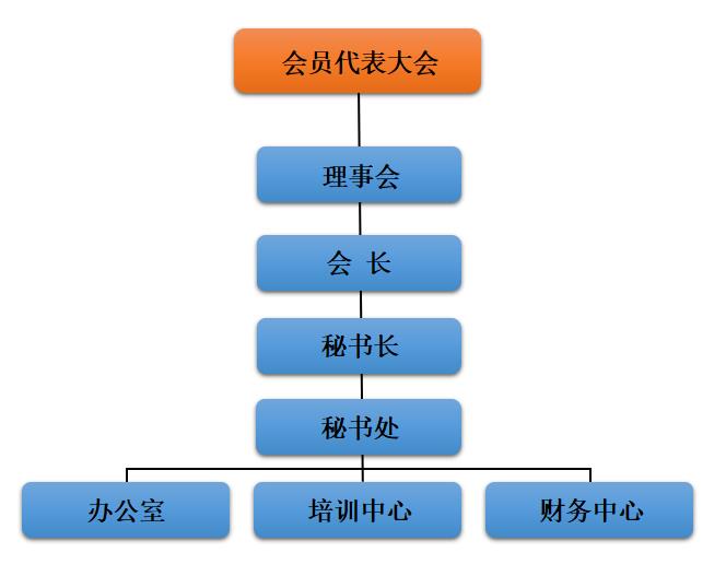 组织结构.jpg