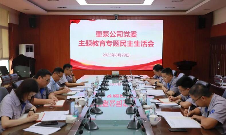 重庆水泵公司党委召开主题教育专题民主生活会